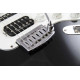 Floyd Rose Rail Tail Tremolo Kit Chrome for Strat Style guitars, Narrow RT100N