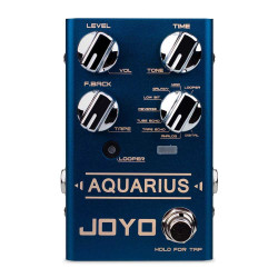Joyo R-07 Aquarius Digital Delay   Looper Guitar Effects Pedal Joyo R-07 Aquarius Digital Delay   Looper Guitar Effects Pedal